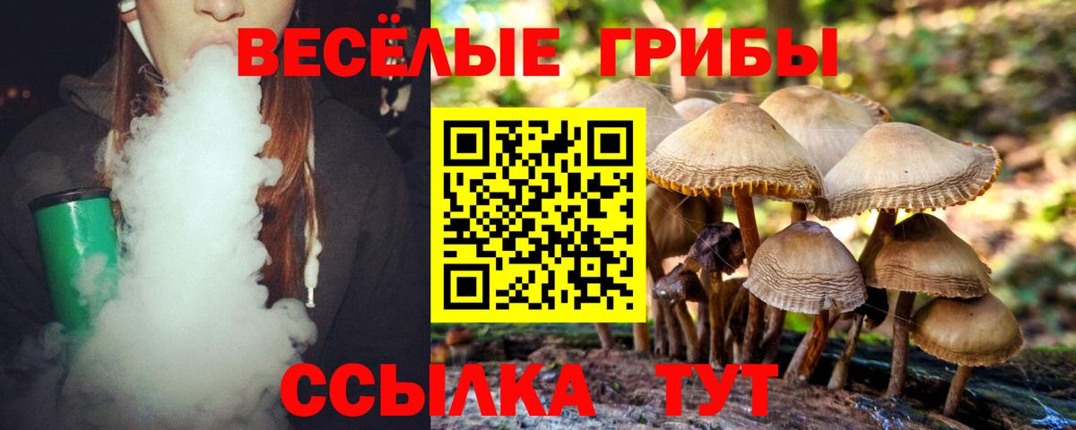 Галлюциногенные грибы Psilocybine cubensis  Вход с VPN  Кувандык 